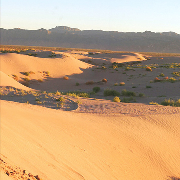 Explorar las Dunas de Bilbao – COAHUILA, MARAVILLAS NATURALES